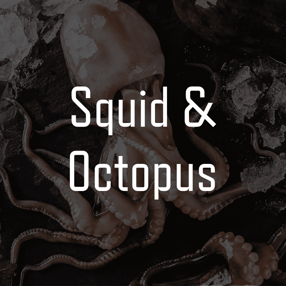 Agnes Water Seafood logo