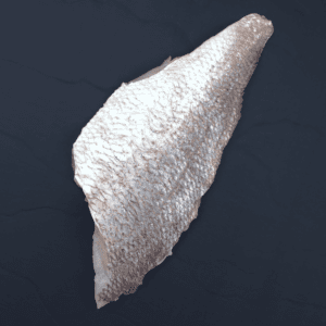 Knobby Snapper (fillet)