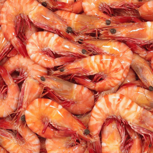 Tiger Prawns (cooked)