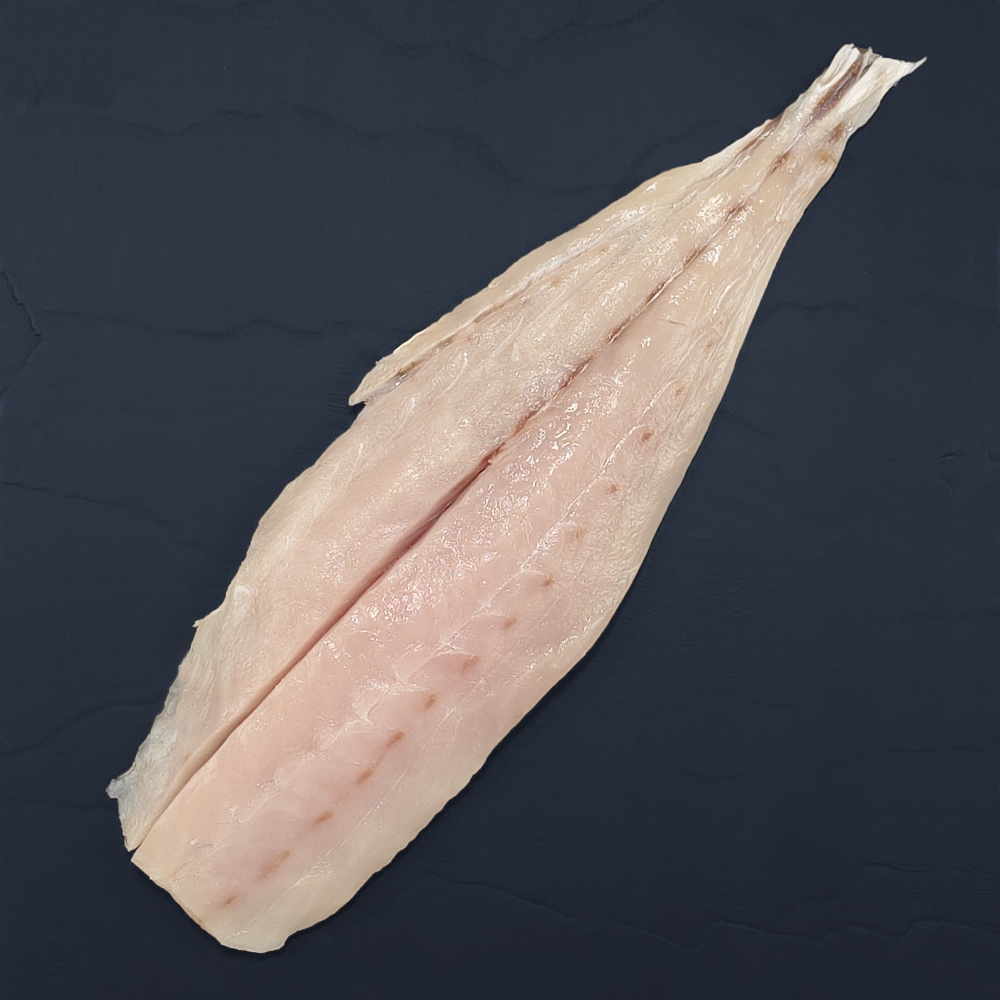 Queenfish (fillet)